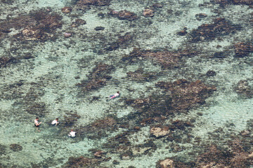 浅瀬の海で遊ぶ人