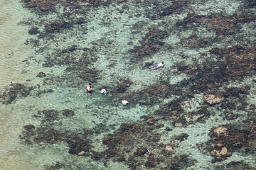 浅瀬の海で遊ぶ人