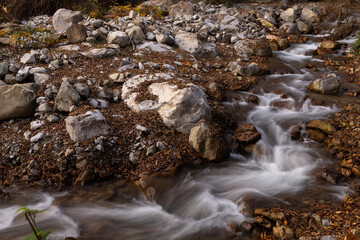 Picturesque small stream in the forest.