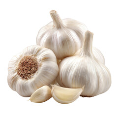 whole garlic bulb close up for healthy food and cooking
