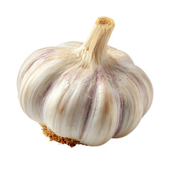 fresh garlic isolated on white background
