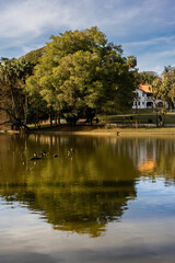 National park Horto Florestal. Sao Paulo, Brazil.