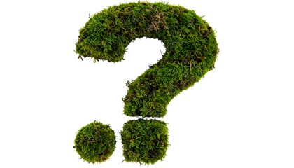 Moss question mark