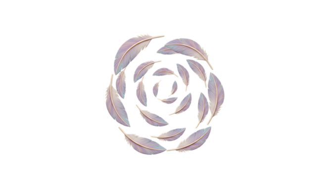 3d inner peace clay icons feathers forming a floral shape isolated on transparent background