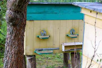 ​A wooden beehive, painted in yellow and turquoise, stands in an apiary surrounded by trees and greenery. Its detailed construction and bee entrances highlight functionality and a natural environment.