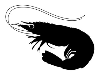 Shrimp silhouette,Shrimp vector silhouette Black, shrimp icon vector, Sea lobster. with white background
