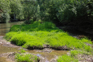 ​A small island of bright green grass divides a shallow river into two streams. The natural landscape is complemented by trees growing on the banks, creating a picturesque scene.