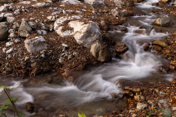 Picturesque small stream in the forest.