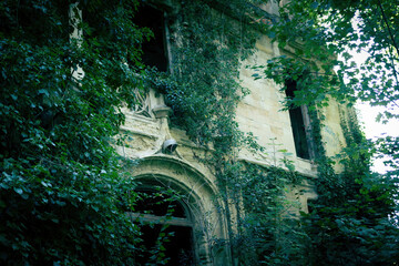 Ruines du Château de la solitude au Plessis-Robinson