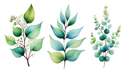 Watercolor Greenery Foliage Vector Set Botanical Illustration for Design