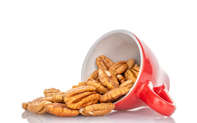 Peeled pecan nuts isolated on white background, close-up.