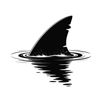 Shark Fin Silhouette Illustration Emerging from Water with Ripples and Reflections