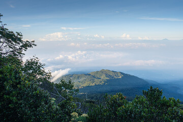 Scenic Mountain Landscape with Verdant Trees and Cloud-Covered Horizon