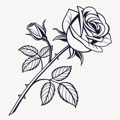 Elegant black and white line art drawing of a blooming rose and a bud on a stem with leaves and thorns