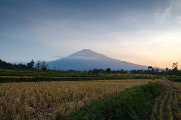 Obraz premium Picturesque View of a Mountain Ciremai Beyond a Tranquil Rural Landscape at Sunset