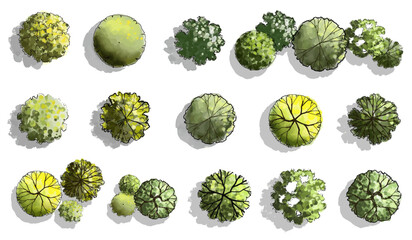 Vector set of Top view green tree for outdoor plan or map and architecture drawing, elements for environment and garden ,botanical elements ,Blooming flowers in spring,tropical plants element