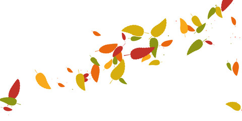 Leaves. Yellow, red, orange, green, brown colors Scattered autumn leaves Unusual abstract texture Vector