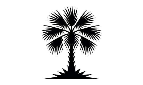 Palm tree monochrome logo, palmetto logo, silhouette Palm black and white background, vector illustration