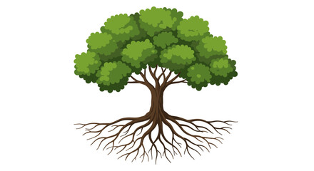 Lush tree with branching roots on white background