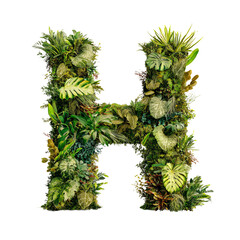 eco friendly letter h from tropical leaves and nature elements
