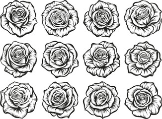 Rose SVG
