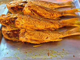 Several pieces of Pla Tod Kamin (Fried Fish with Turmeric) on a metal tray, a traditional Thai dish where fresh fish is marinated with turmeric