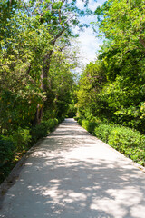 Fototapeta premium アテネの美しい風景