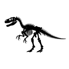 tyrannosaurus rex skeleton