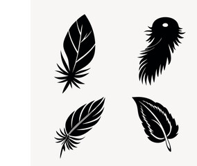 Artistic Feather Vector Set