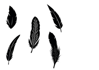 Artistic Feather Vector Set