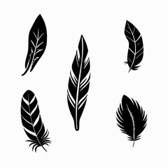 Artistic Feather Vector Set
