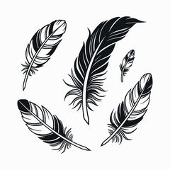 Artistic Feather Vector Set