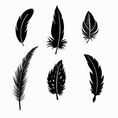 Artistic Feather Vector Set