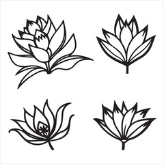 A Savory and Hearty Caesar Salad, a Popular and Nutritious Meal with a Creamy Garlic Dressing and a Bold Flavor Profile