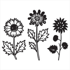 A Field of Colorful Ageratum, a Beautiful and Delicate Flower Known as Blueweed, Creating a Vibrant and Serene Floral Border in a Sunny Garden