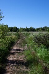 Trail in the Monts d'Arree in Brittany in France, Europe