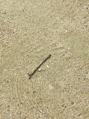 Which area of the sea is it?