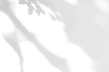 shadow overlay effects of realistic abstract natural tree leaves shadow on wall background,Summer sunlight and shadow overlay effect,shadow for photo interior backdrop studio mockup