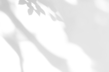 shadow overlay effects of realistic abstract natural tree leaves shadow on wall background,Summer sunlight and shadow overlay effect,shadow for photo interior backdrop studio mockup