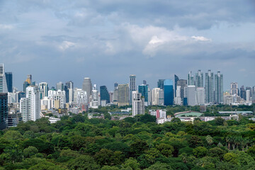 Naklejka premium a big area of green natural park with background of many building of the big city