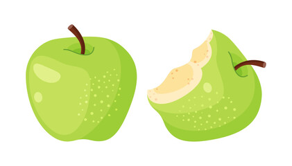 Fresh green whole and bitten apple, fresh garden fruit. Hand drawn food clipart, flat style, isolated on transparent background. ideal for food blogs, recipe books, diet guides. Vector illustration