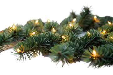 Warm White Fairy Lights on Evergreen Branches on transparent background