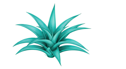A vibrant teal agave symbolizing resilience and natural beauty set against a calming black void background featuring