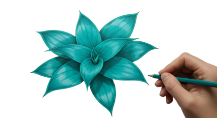 A delicate turquoise succulent illustration coming to life in the artist s hand on stark black paper with a smooth