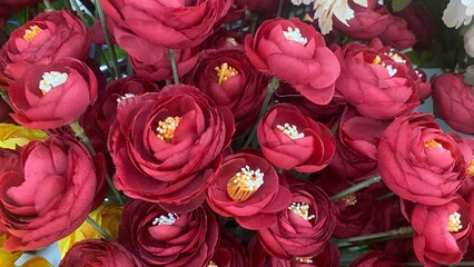 Beautiful bright red flowers blooming in vibrant garden