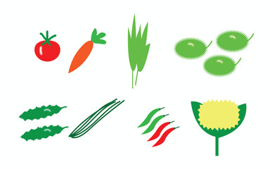 Colorful assortment of fresh vegetables on white background
