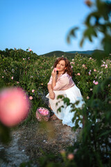 Romantic woman in light dress with curly hair sitting in blooming rose garden with picnic basket, enjoying summer nature outdoors, floral field lifestyle, relaxation and beauty in countryside scenery