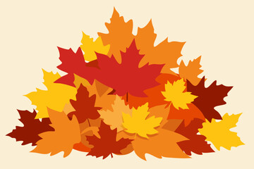 Pile of colorful autumn maple leaves