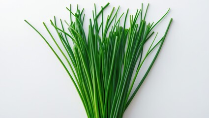 Fototapeta premium Fresh green grass blades on a white background