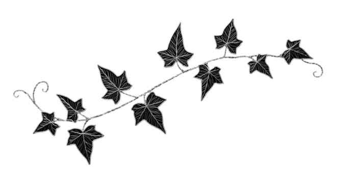 A delicate vine of ivy winding its way across a midnight sky a symbol of resilience and growth with intricate line work